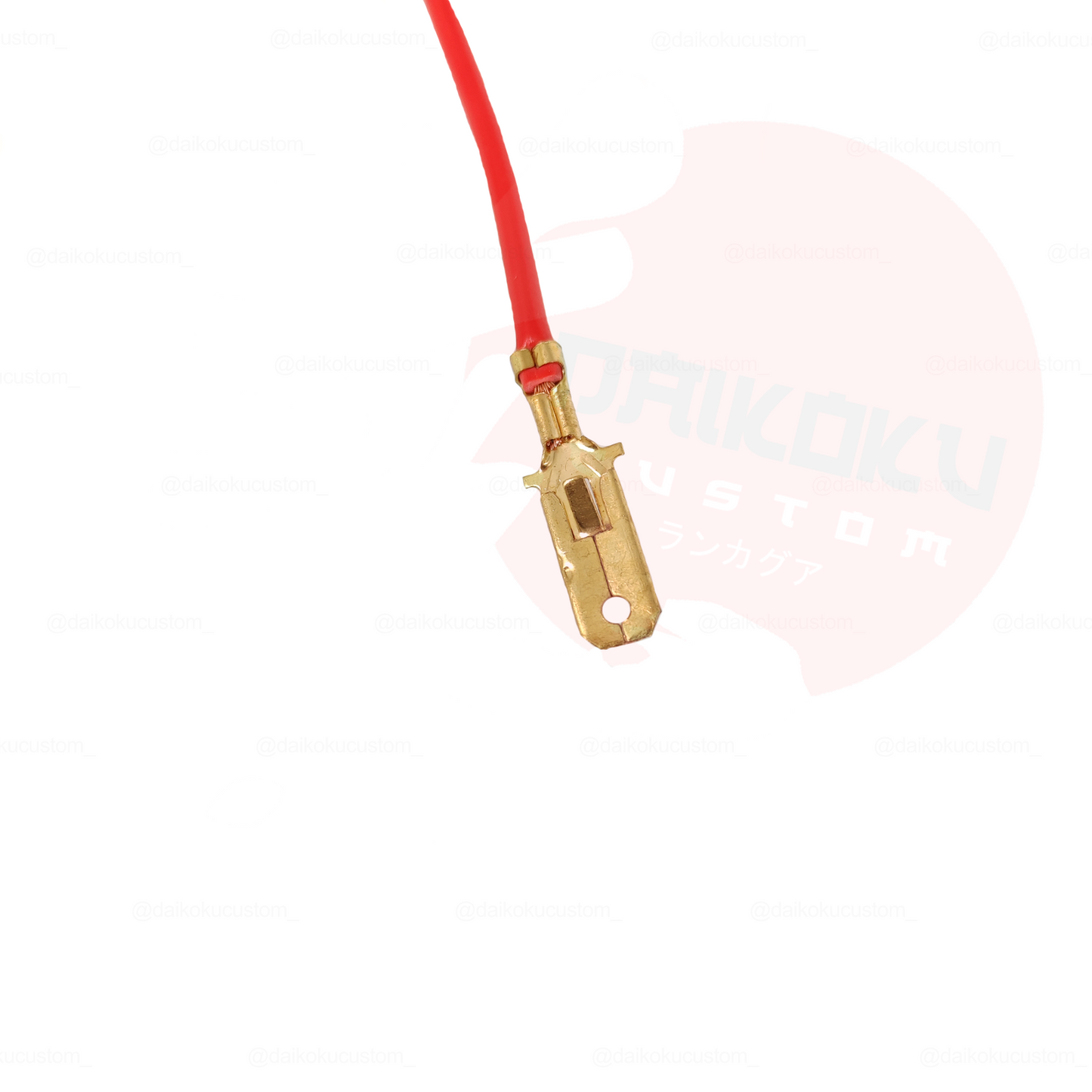 1 Terminal Macho Plano + Cable