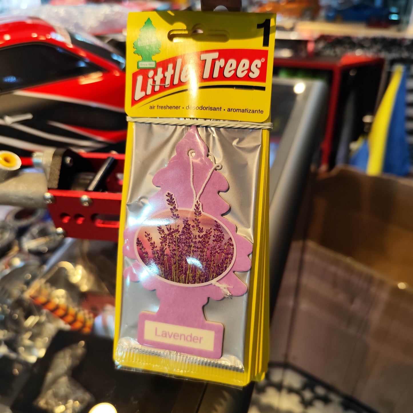 Pino Aromatico Little Trees Americano