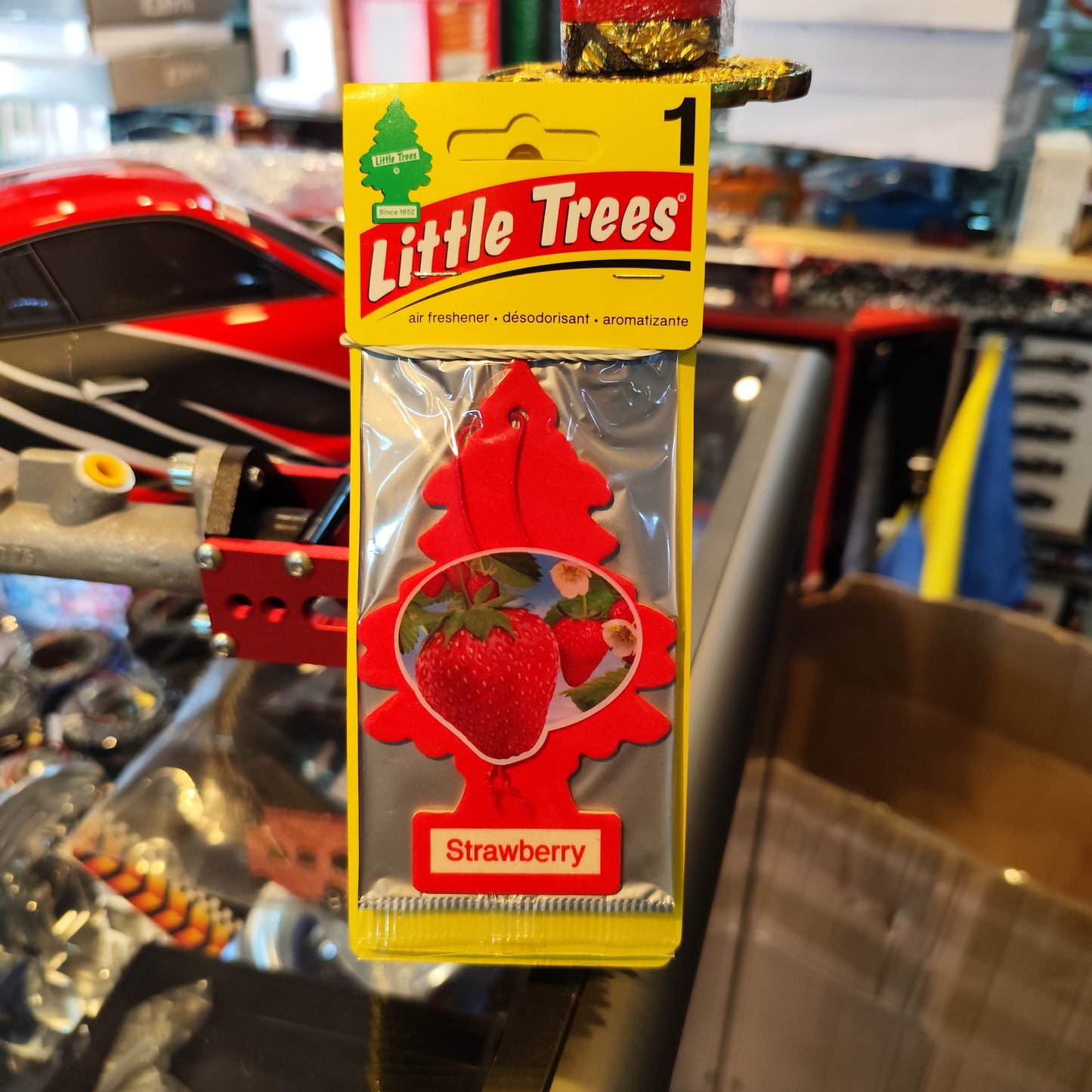 Pino Aromatico Little Trees Americano