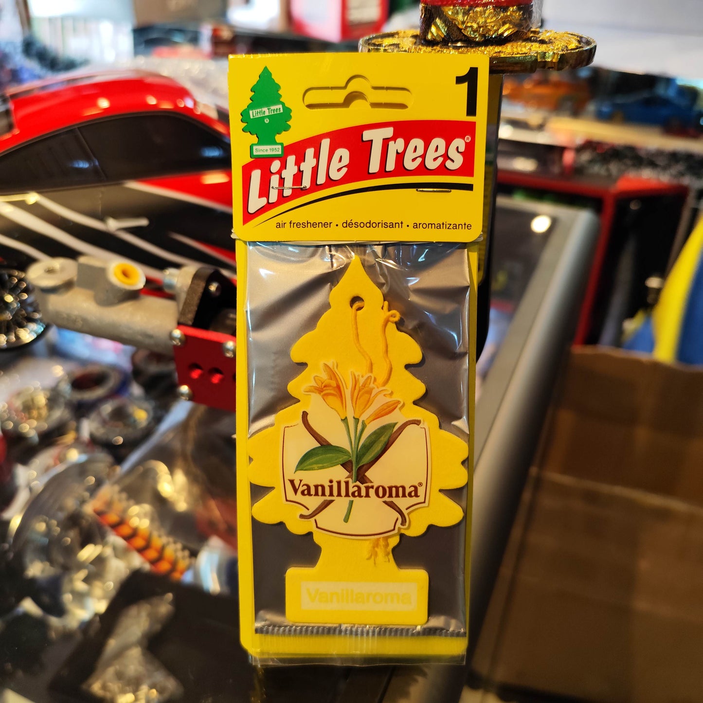 Pino Aromatico Little Trees Americano