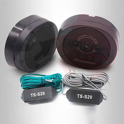 Tweeters Pioneer 200w Ts-S20