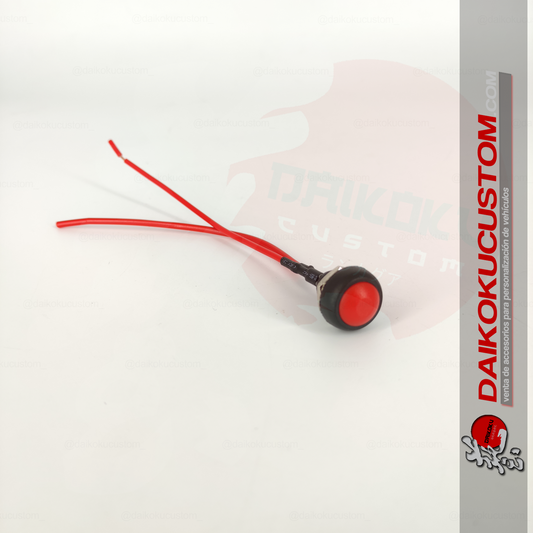 Pulsador Plastico n65 + Cable