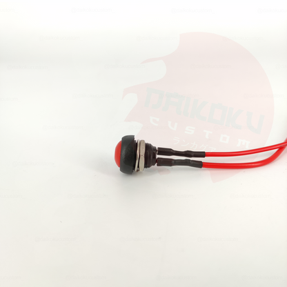 Pulsador Plastico n65 + Cable