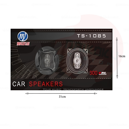 Parlantes 10cm 300w Pcinener Ts-1085